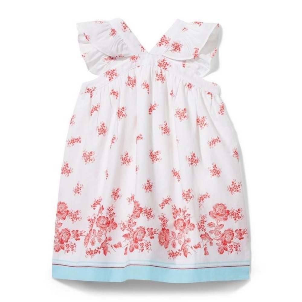 Janie and Jack Floral Border Dress